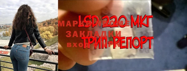 прущие грибы Зеленокумск